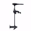 Afbeelding van Minn Kota Endura C2 30lbs 76cm (30") 12V