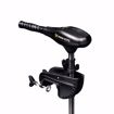 Afbeelding van Minn Kota Endura C2 55lbs 91cm (36") 12V