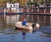 Afbeelding van Whaly 310